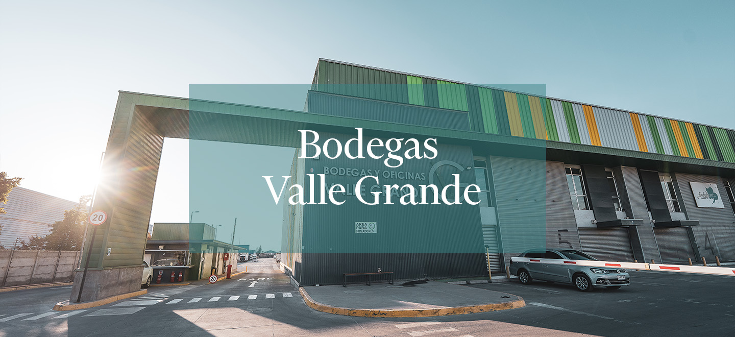 Bodegas Valle Grande